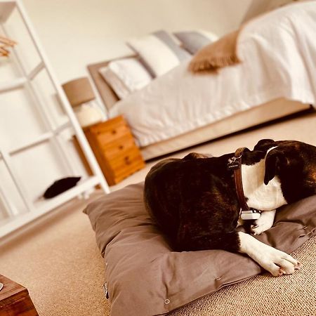 Bed and Breakfast The Ventnor Annex Esterno foto